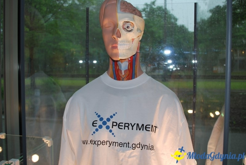X lat Experymentu - 04.06.2017