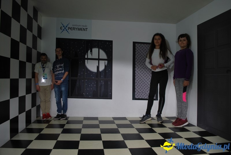 X lat Experymentu - 04.06.2017