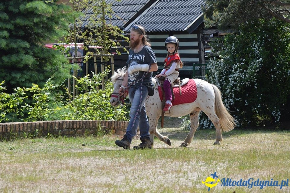 Festyn Rodzinny przy Zespole Wczesnej Edukacji 2017