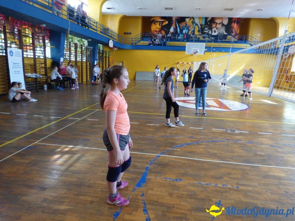 Finał Gdynia Mini Volley Cup 2017 - 10.06.2017
