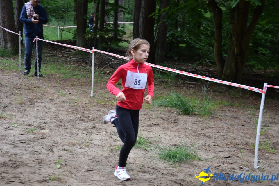 Grand Prix w biegach górskich Gdynia (Edycja IV) - Biegi Młodzieżowe