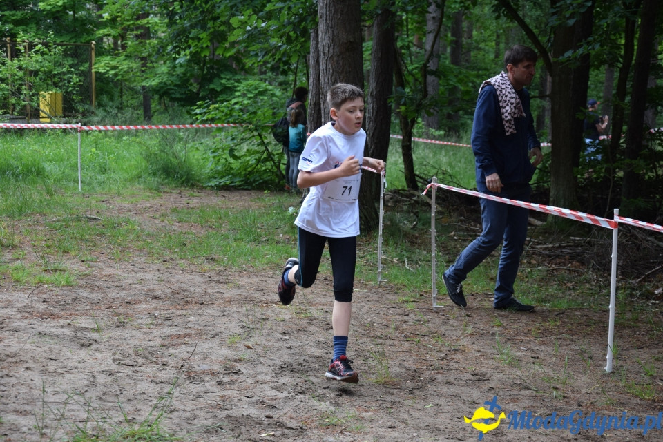 Grand Prix w biegach górskich Gdynia (Edycja IV) - Biegi Młodzieżowe