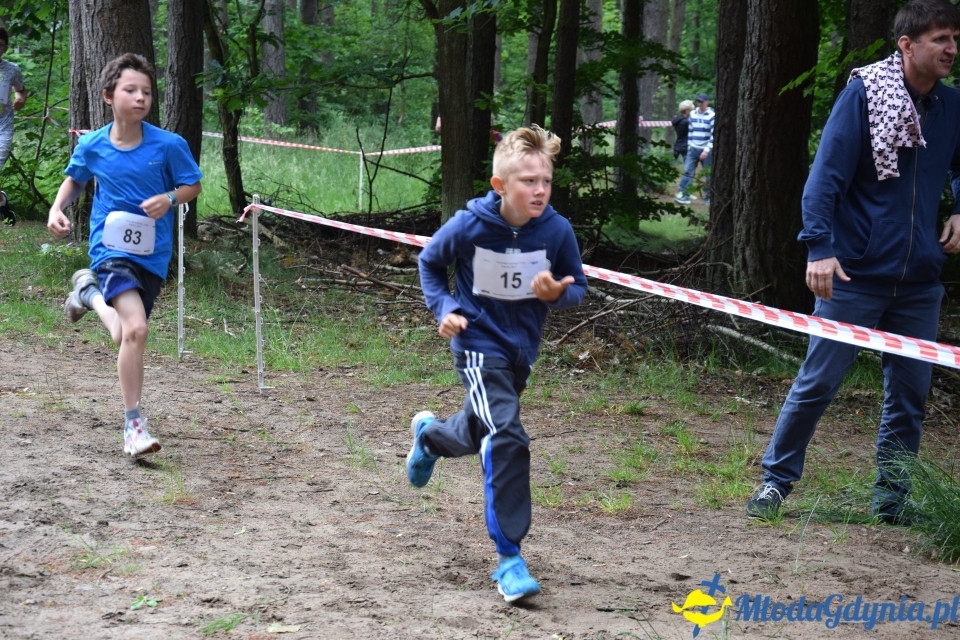 Grand Prix w biegach górskich Gdynia (Edycja IV) - Biegi Młodzieżowe