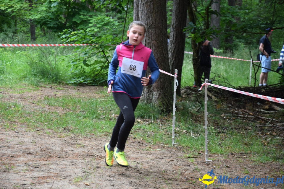 Grand Prix w biegach górskich Gdynia (Edycja IV) - Biegi Młodzieżowe
