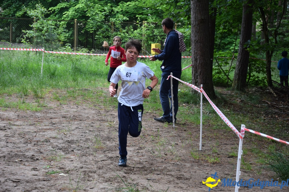 Grand Prix w biegach górskich Gdynia (Edycja IV) - Biegi Młodzieżowe