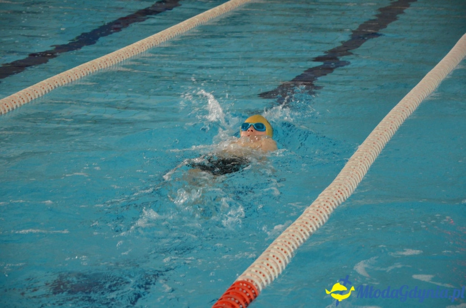 UKS 7 - Zawody o Puchar Trenera-22.06.2017