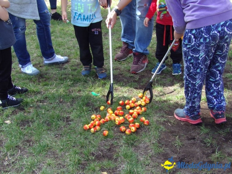 Festyn Przedszkola nr 21 Demptusiowo