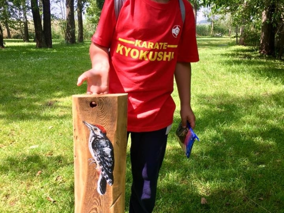 Gdyński Klub Kyokushin Karate - obóz Piecki 2017