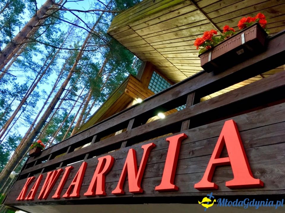 Gdyński Klub Kyokushin Karate - obóz Piecki 2017