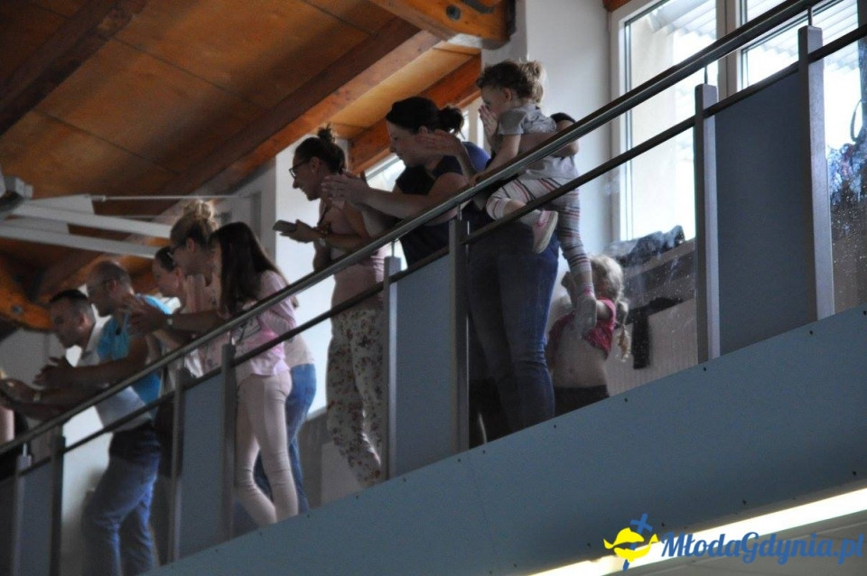 Akademia Młodych Sportowców - BASEN - ZAKOŃCZENIE SEZONU 2016-17