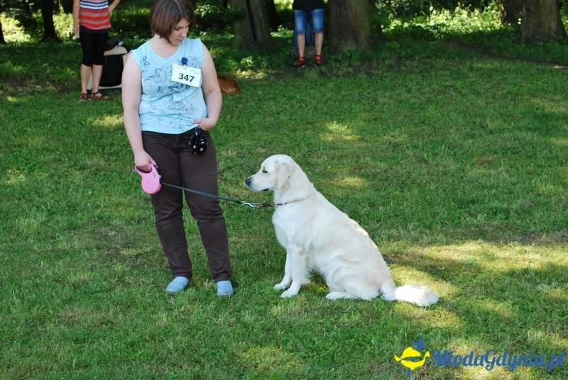 Puchar Bursztynowego Psa 2017