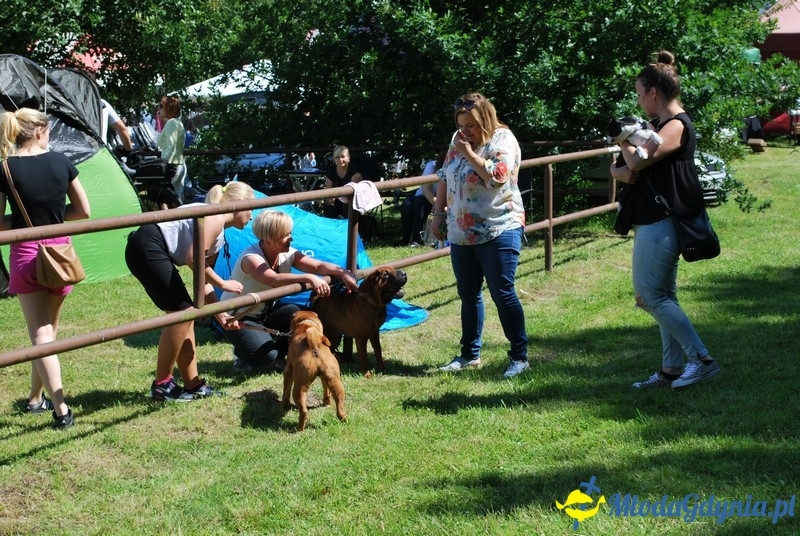 Puchar Bursztynowego Psa 2017