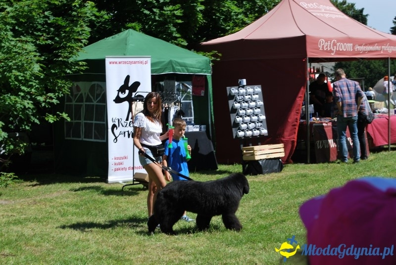 Puchar Bursztynowego Psa 2017