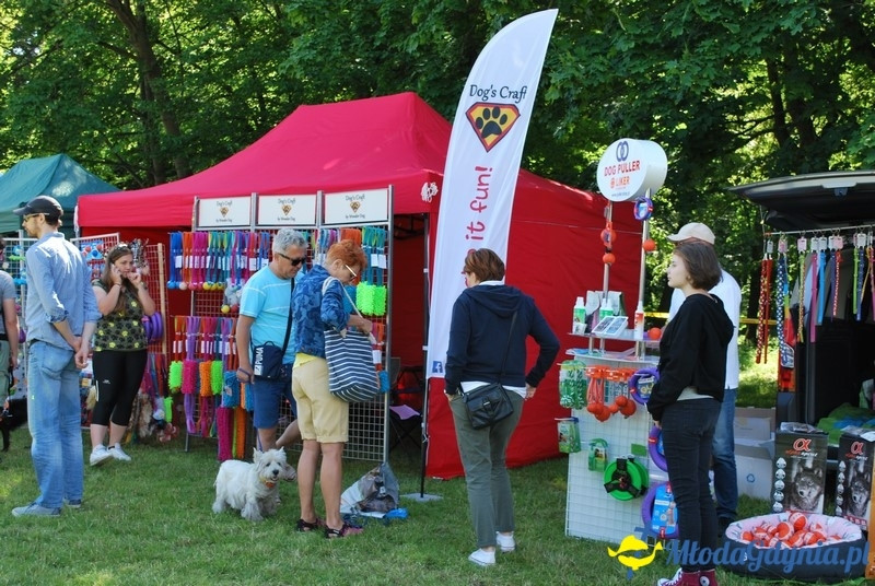 Puchar Bursztynowego Psa 2017