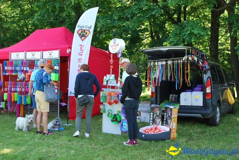 Puchar Bursztynowego Psa 2017