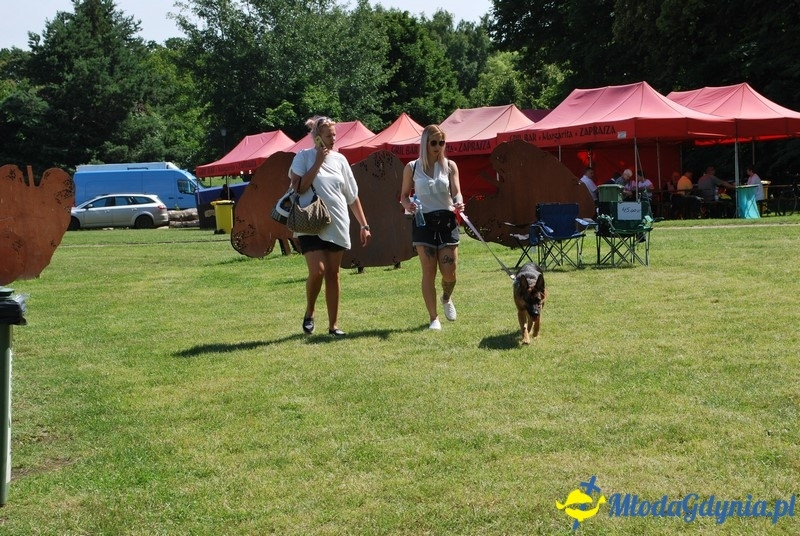 Puchar Bursztynowego Psa 2017