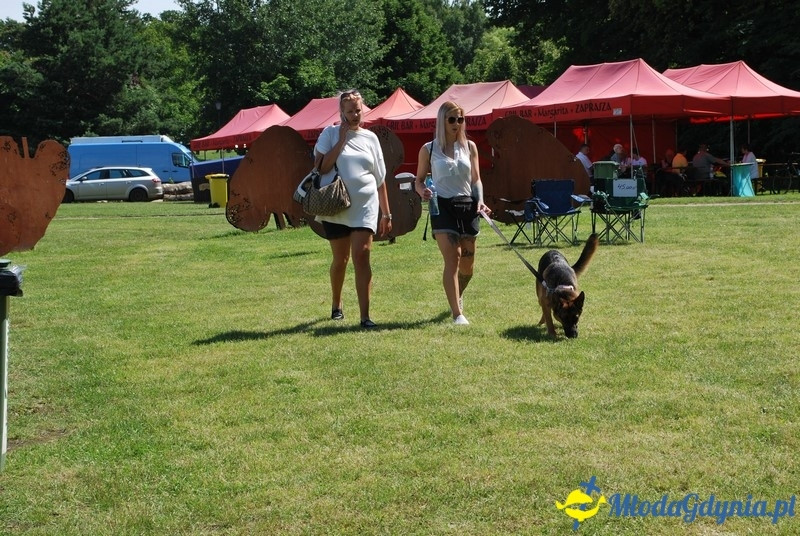 Puchar Bursztynowego Psa 2017