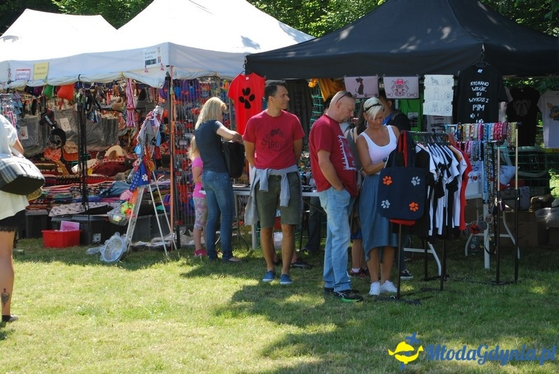 Puchar Bursztynowego Psa 2017