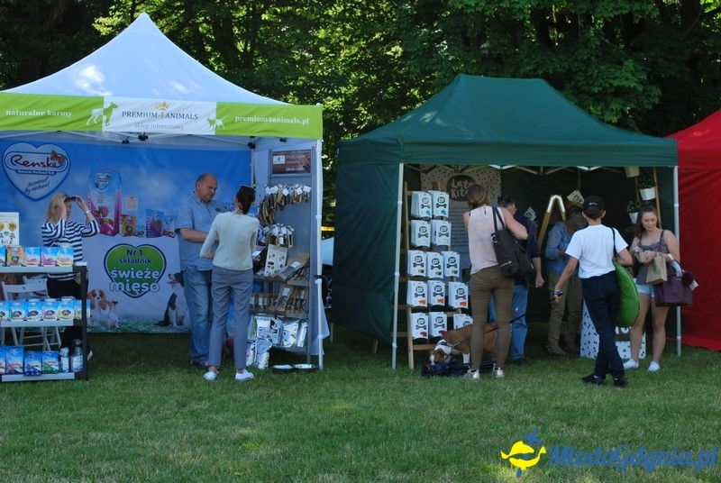 Puchar Bursztynowego Psa 2017