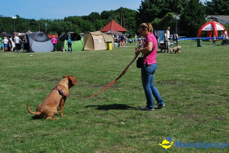 Puchar Bursztynowego Psa 2017