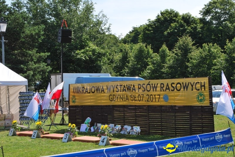 Puchar Bursztynowego Psa 2017