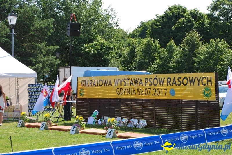 Puchar Bursztynowego Psa 2017