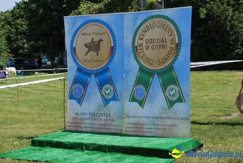 Puchar Bursztynowego Psa 2017