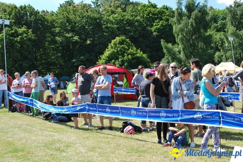 Puchar Bursztynowego Psa 2017