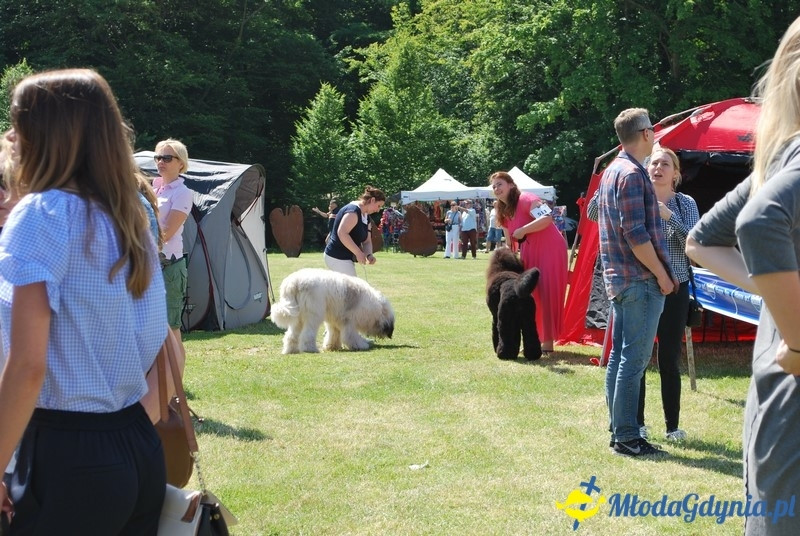 Puchar Bursztynowego Psa 2017