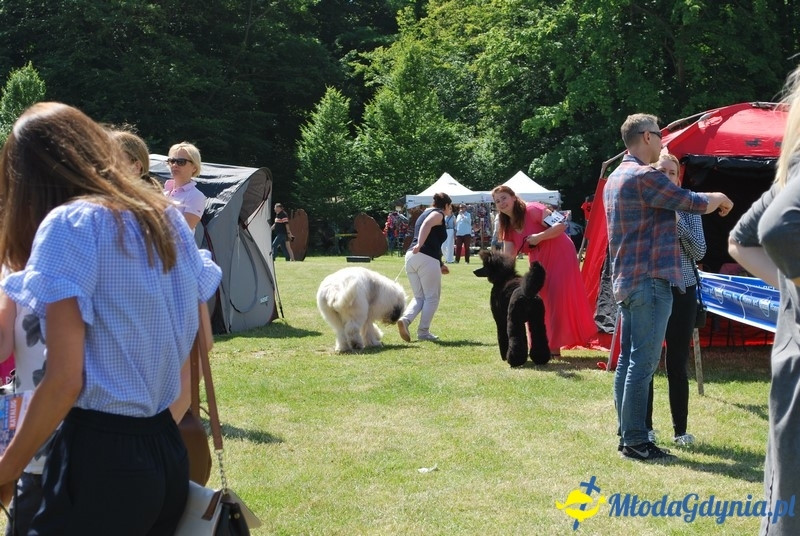 Puchar Bursztynowego Psa 2017