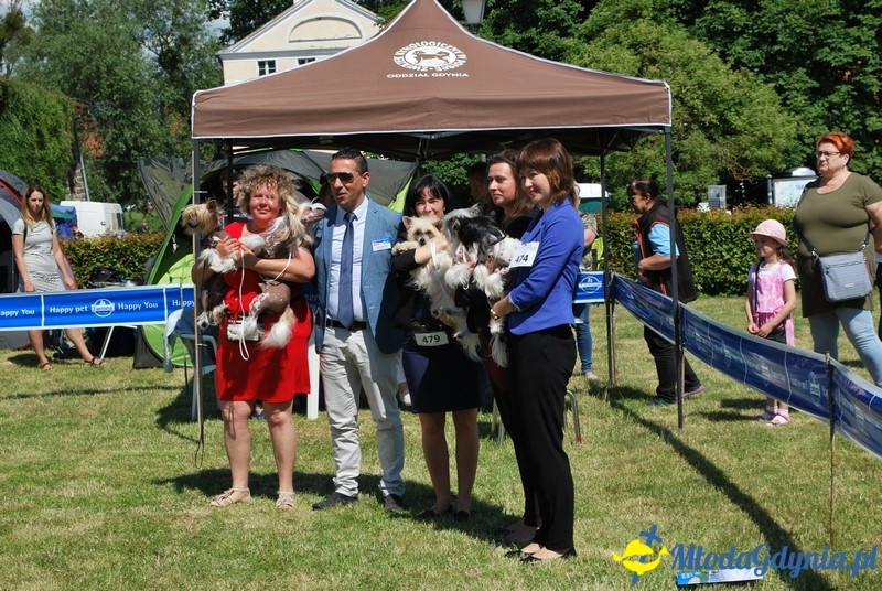 Puchar Bursztynowego Psa 2017