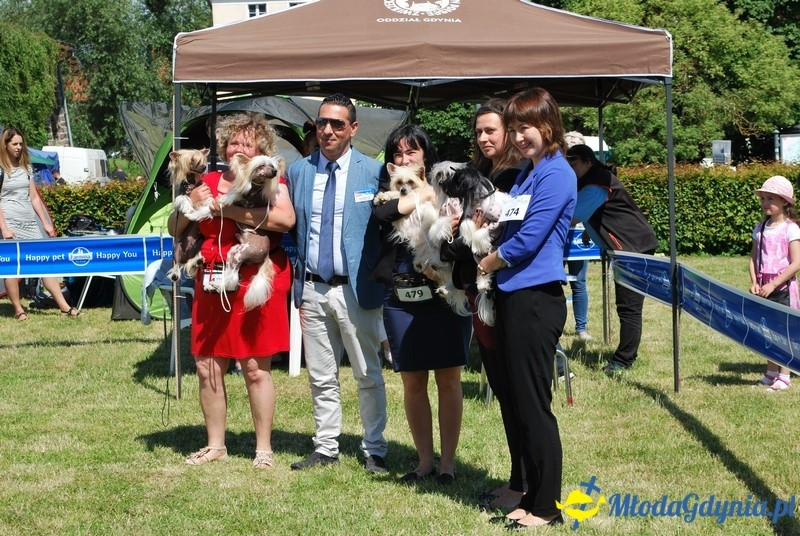 Puchar Bursztynowego Psa 2017