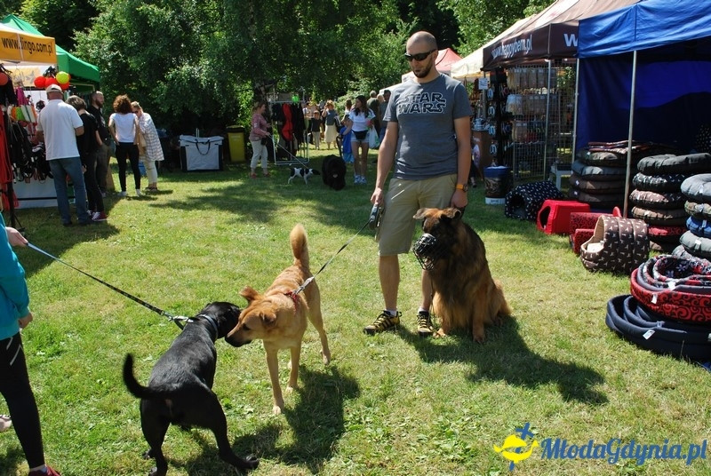 Puchar Bursztynowego Psa 2017