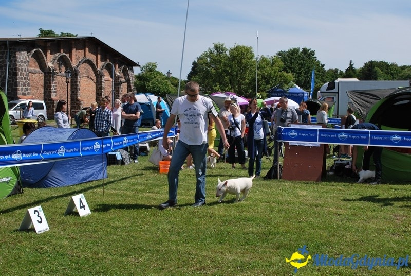 Puchar Bursztynowego Psa 2017