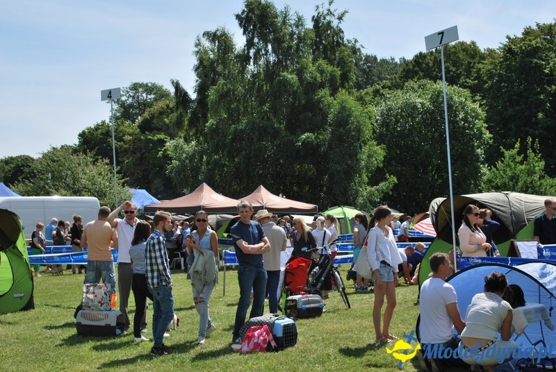 Puchar Bursztynowego Psa 2017