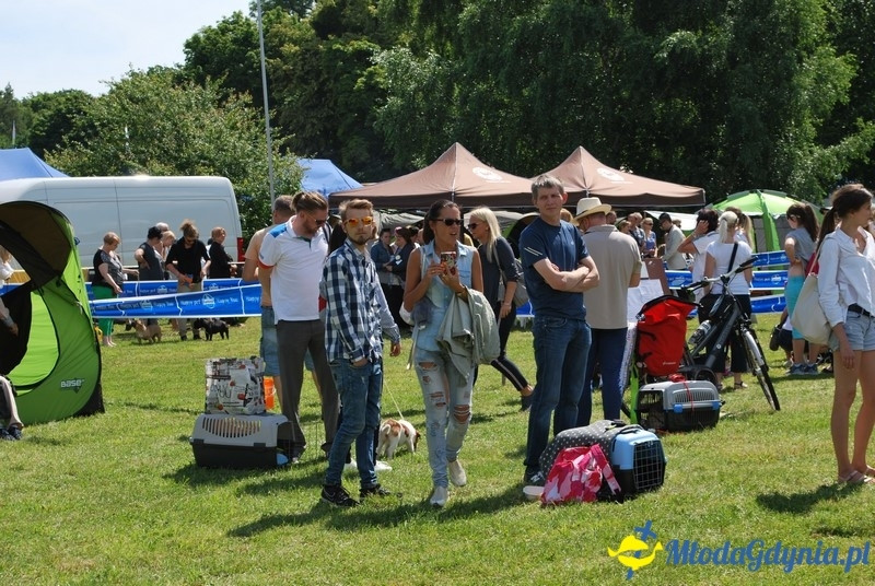 Puchar Bursztynowego Psa 2017