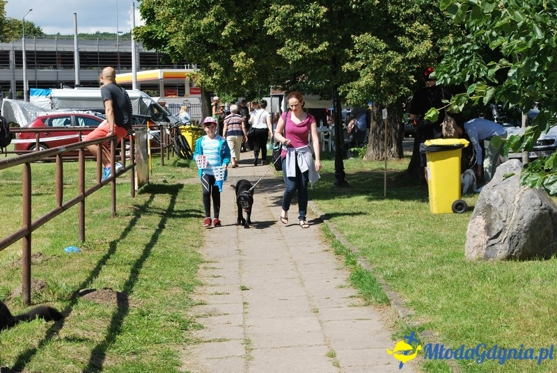 Puchar Bursztynowego Psa 2017