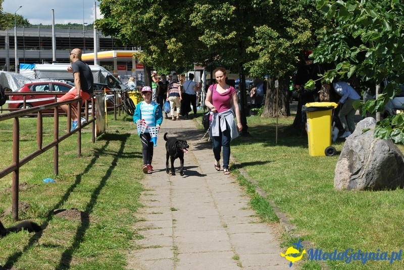 Puchar Bursztynowego Psa 2017