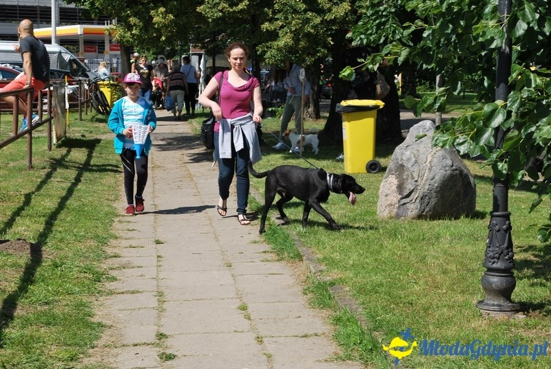 Puchar Bursztynowego Psa 2017