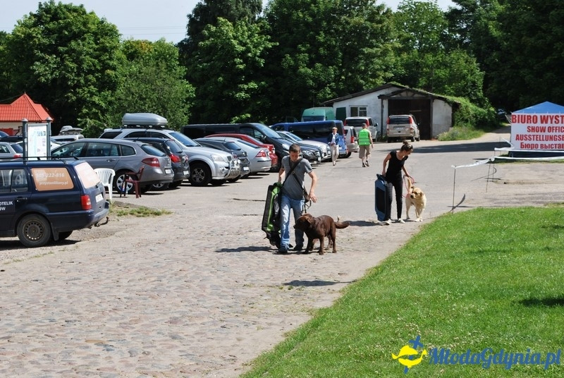 Puchar Bursztynowego Psa 2017