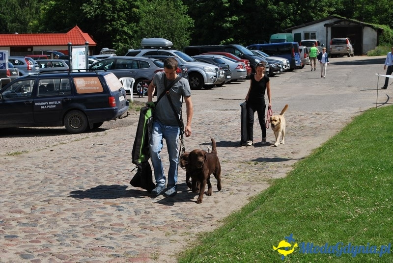 Puchar Bursztynowego Psa 2017