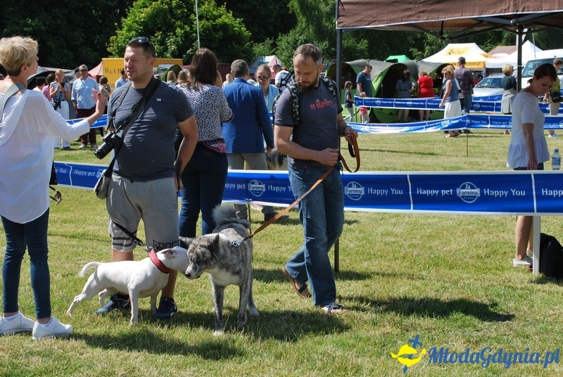 Puchar Bursztynowego Psa 2017