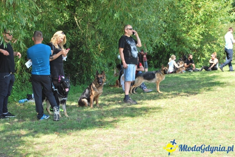 Puchar Bursztynowego Psa 2017