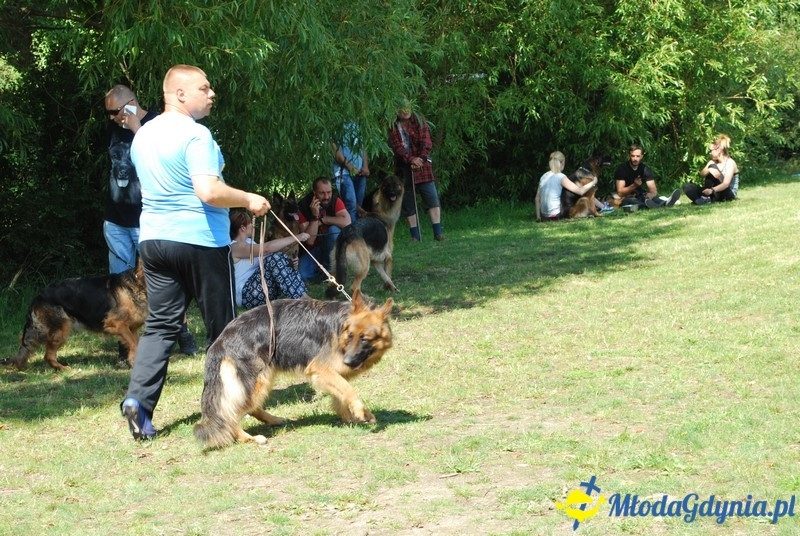 Puchar Bursztynowego Psa 2017