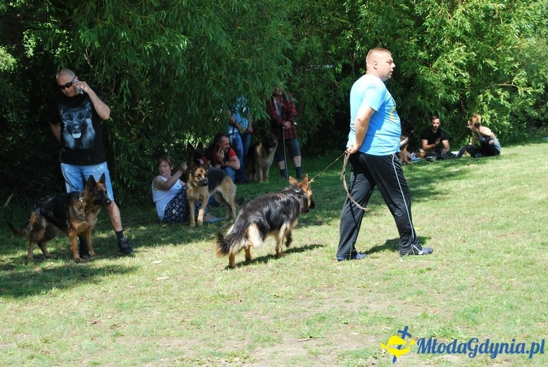 Puchar Bursztynowego Psa 2017