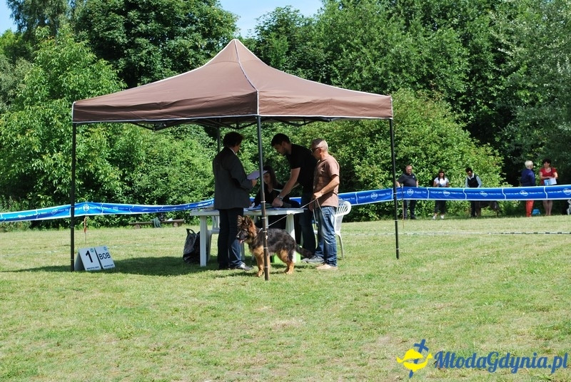 Puchar Bursztynowego Psa 2017
