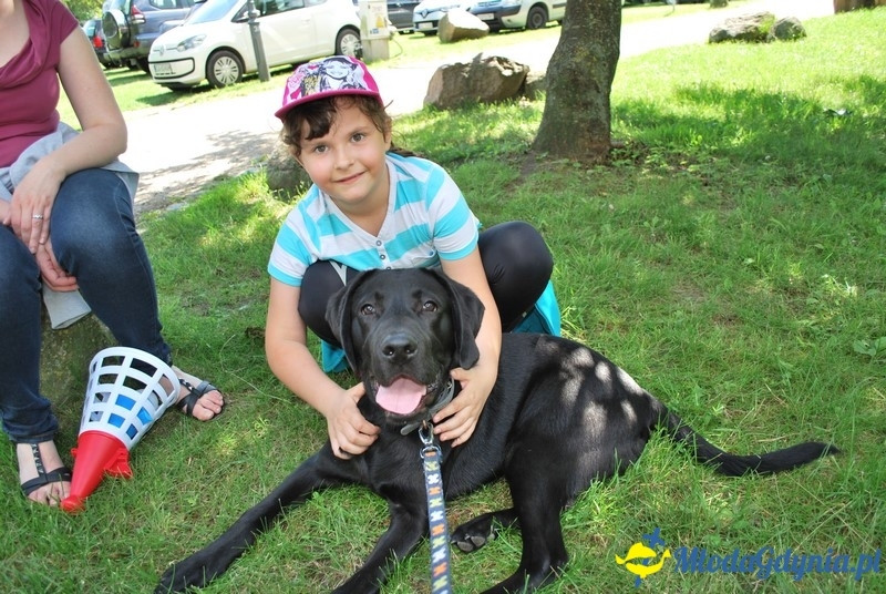 Puchar Bursztynowego Psa 2017