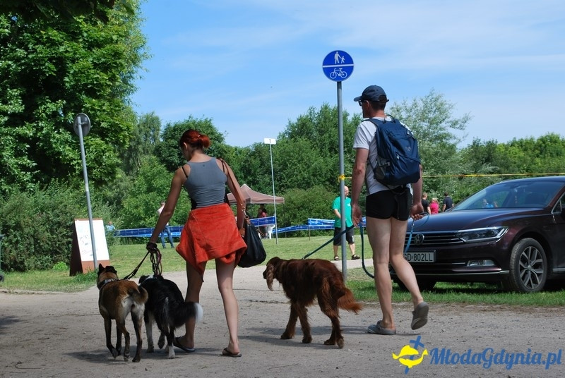 Puchar Bursztynowego Psa 2017