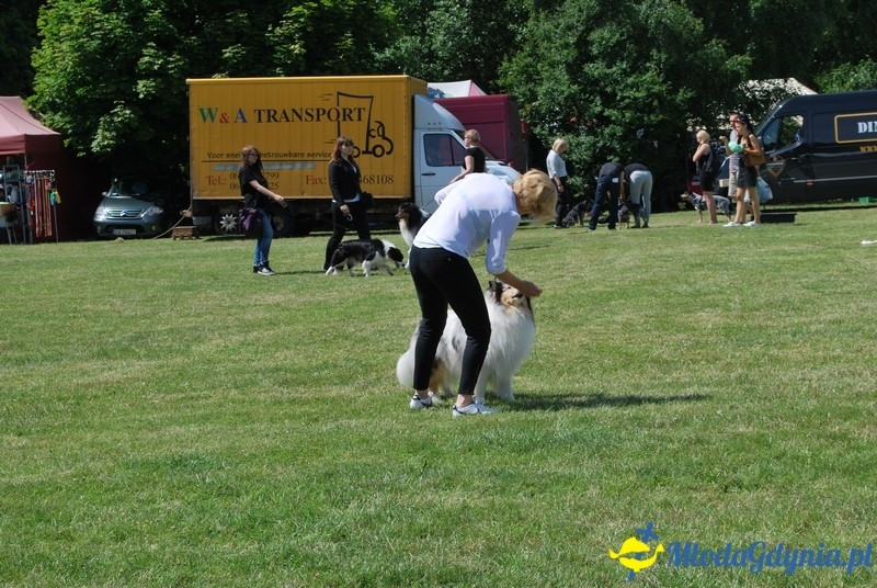 Puchar Bursztynowego Psa 2017