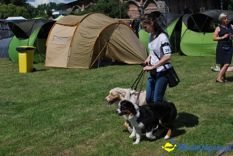 Puchar Bursztynowego Psa 2017